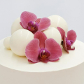 Торт для жінки з орхідеями